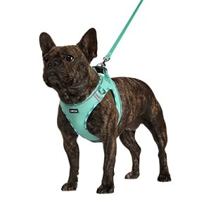 AMTOR Dog Harness with Leash Set,No Pull Adjustable Reflective Step-in Puppy Harness with Padded Vest for Extra-Small/Small Medium Large Dogs and Cats(Green)