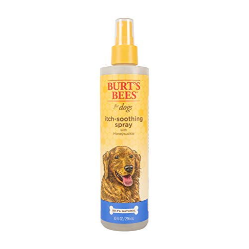 Burt's Bees for Dogs Natural Itch Soothing Spray with Honeysuckle | Best Anti-Itch Spray for Dogs With Itchy Skin | Cruelty Free, Sulfate & Paraben Free, pH Balanced for Dogs - Made in the USA, 10 Oz